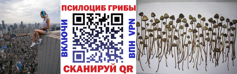 купить наркотики сайты  Нахабино  Галлюциногенные грибы Magic Shrooms 